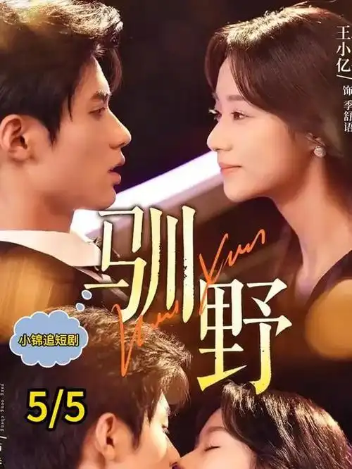 审判日午后 律政悬疑美剧在线观看
